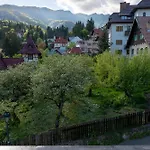 Vila Ferdinand - Apartament Iarina